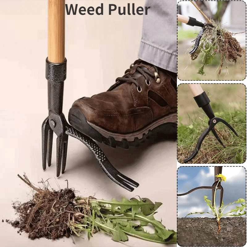 DESCONTO ESPECIAL - GardenClean™