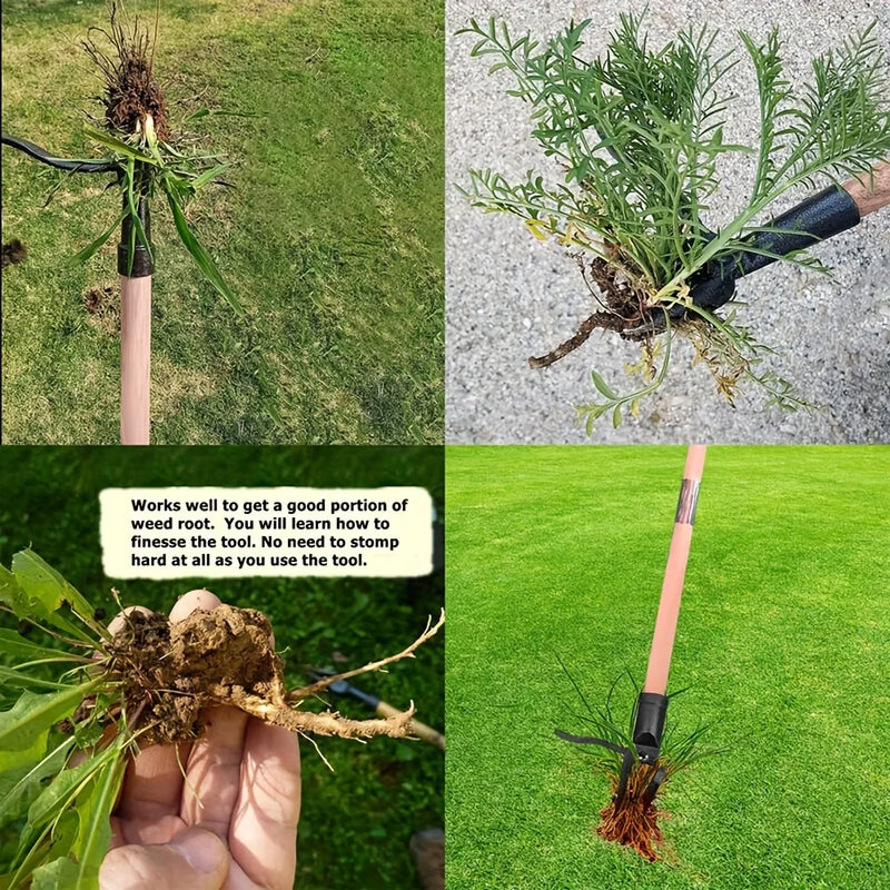 DESCONTO ESPECIAL - GardenClean™