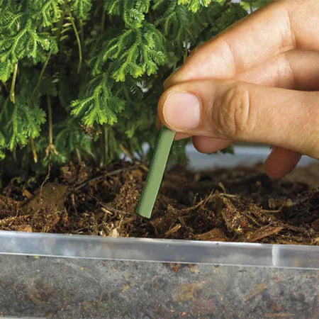 NutriStick™ – Bastões Para Nutrição e Crescimento de Plantas