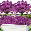 NaturaFlower™ – Flores Realistas Premium Com Proteção UV