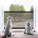 Protect Pet® - FRETE GRÁTIS